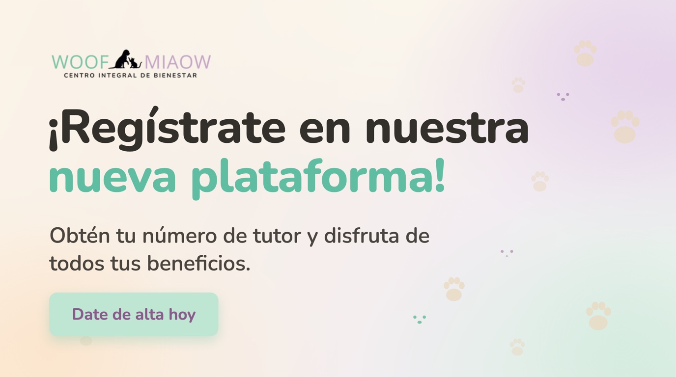 Creen su cuenta con su correo: su número de tutor y todo su historial en un solo lugar
